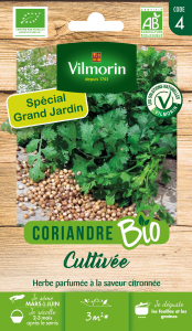 Coriandre Cultivée - BIO - Grand Modèle